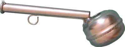 Fasaanipilli -Pheasant, Phasianus colchicus