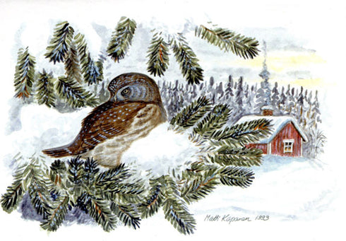 Varpuspöllö postikortti