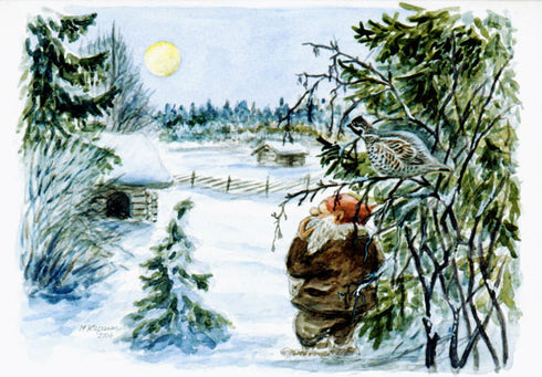 Pyy ja tonttu postikortti