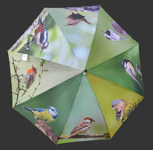 Lintuaiheinen sateenvarjo, vihreä TP178