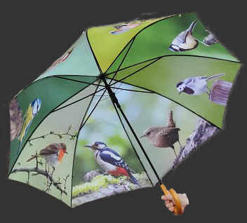 Lintuaiheinen sateenvarjo, vihreä TP178