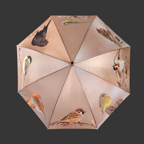 Lintuaiheinen sateenvarjo, ruskea TP387