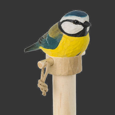 Talouspaperiteline sinitiainen WG