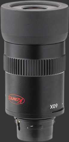 Kowa TSN601 kaukoputki + 20-60x okulaari