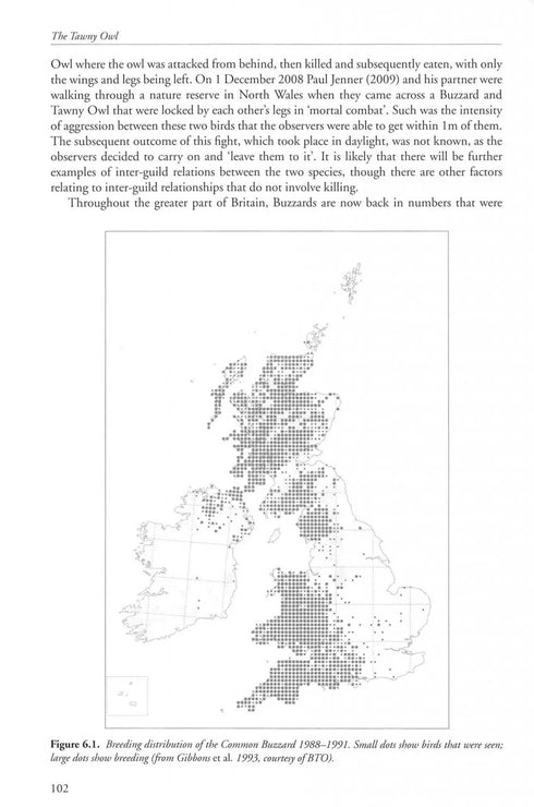 The Tawny Owl - Martin, Jeff 2022