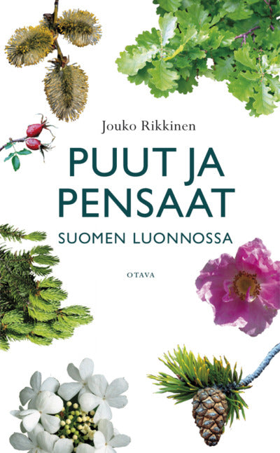 Puut ja pensaat suomen luonnossa - Rikkinen 2010