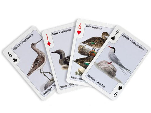 Pelikortit ranta ja vesilintuja