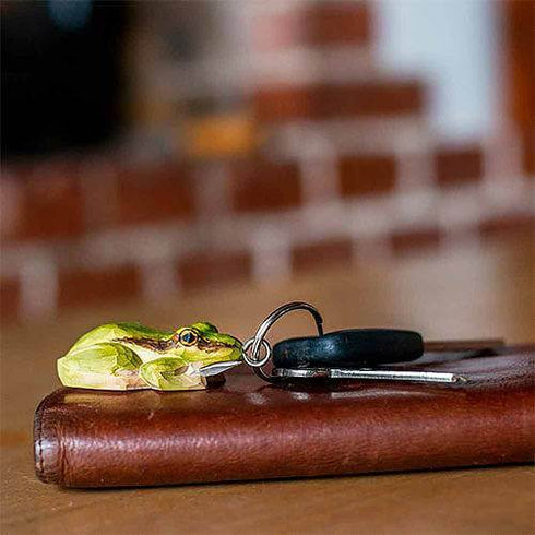 Avaimenperä, sammakko