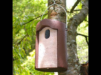 Leppälinnunpönttö (Schwegler) 1B