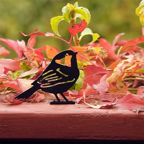 Siluetti, kuusitiainen