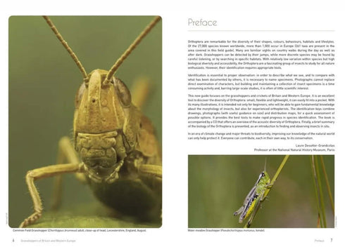 Grasshoppers of Britain and Western Europe, A Photographic Guide -Eric Sardet 2021