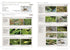 Grasshoppers of Britain and Western Europe, A Photographic Guide -Eric Sardet 2021