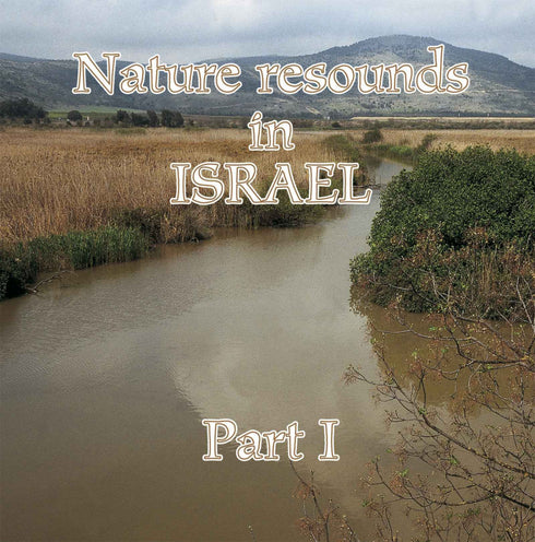 Nature resound in Israel part 1, Hallikainen, L. 2006