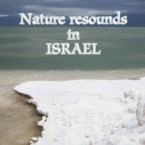 Nature resound in Israel part 2, Hallikainen, L. 2006
