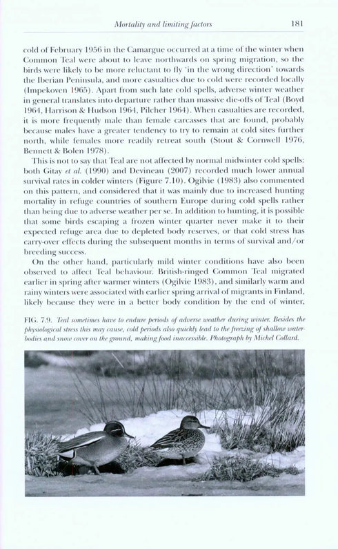 The Teal -Guillemain, M. 2014