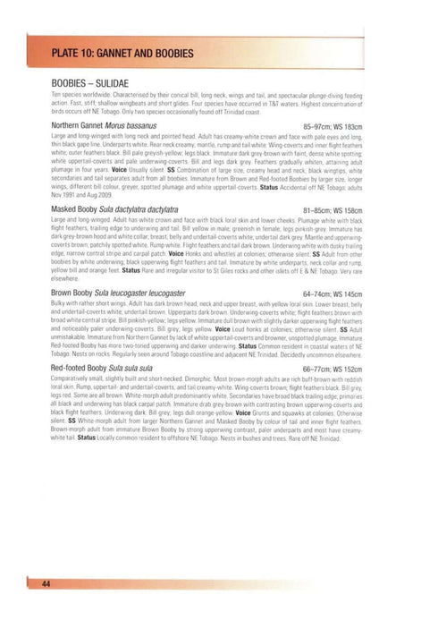 Birds of Trinidad & Tobago, 3rd Ed. - Kenefick 2019